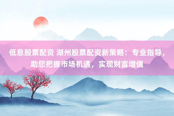 低息股票配资 湖州股票配资新策略：专业指导，助您把握市场机遇，实现财富增值