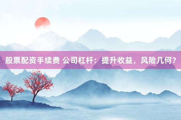 股票配资手续费 公司杠杆：提升收益，风险几何？