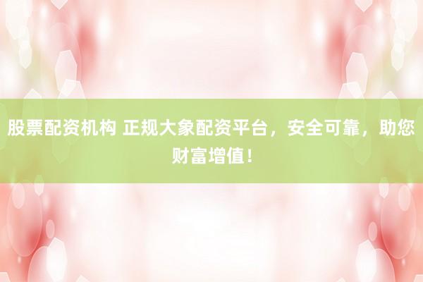股票配资机构 正规大象配资平台,安全可靠,助您财富增值!