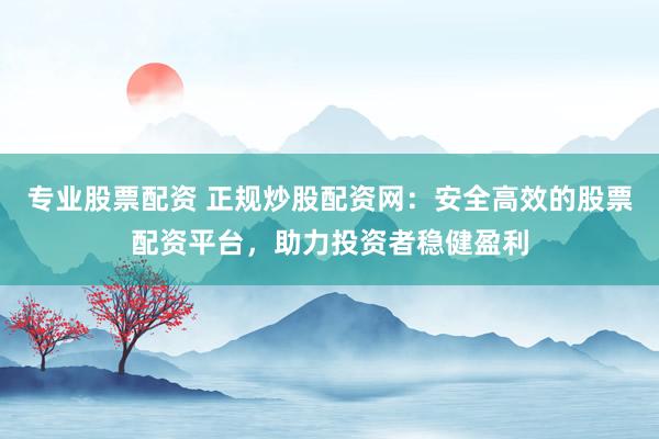 专业股票配资 正规炒股配资网：安全高效的股票配资平台，助力投资者稳健盈利