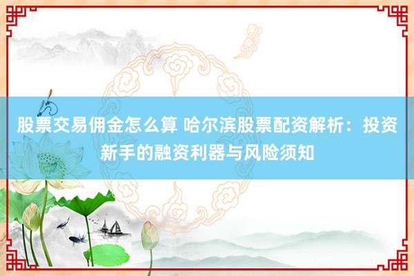 股票交易佣金怎么算 哈尔滨股票配资解析：投资新手的融资利器与风险须知