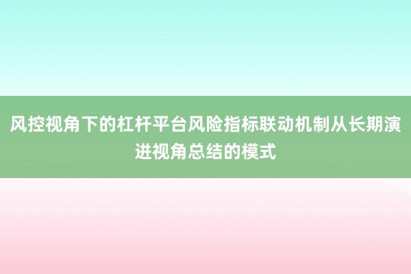 风控视角下的杠杆平台风险指标联动机制从长期演进视角总结的模式