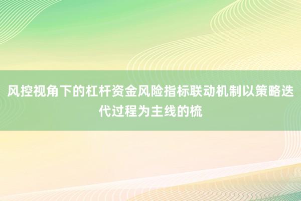 风控视角下的杠杆资金风险指标联动机制以策略迭代过程为主线的梳