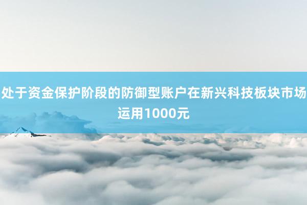处于资金保护阶段的防御型账户在新兴科技板块市场运用1000元
