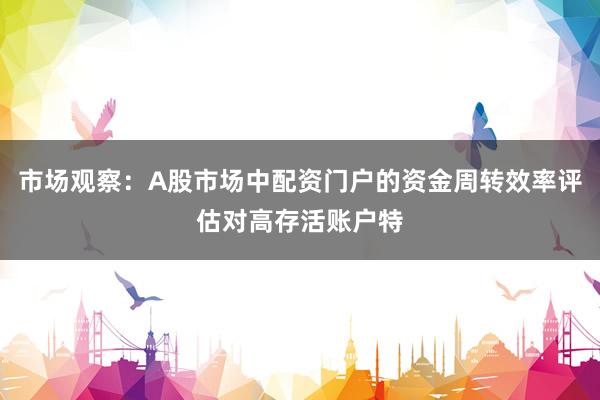 市场观察：A股市场中配资门户的资金周转效率评估对高存活账户特
