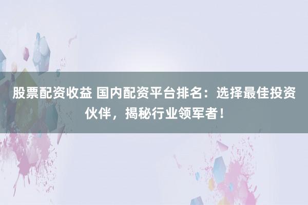 股票配资收益 国内配资平台排名：选择最佳投资伙伴，揭秘行业领军者！
