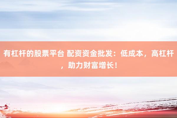 有杠杆的股票平台 配资资金批发：低成本，高杠杆，助力财富增长！
